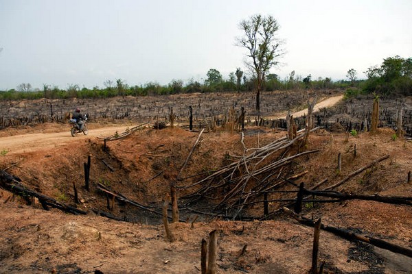 ho chi minh trail